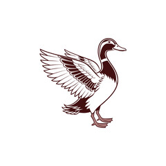 duck vector art and illutration