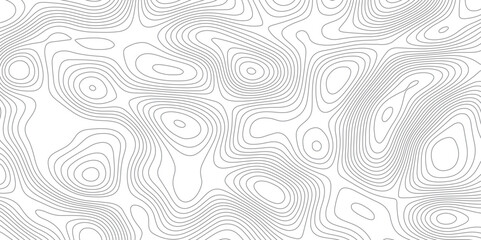 Abstract topographic map background. Topographic map lines contour background. 

