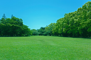 Obraz premium 緑の公園