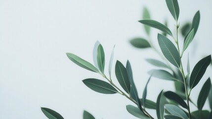 modern, minimalist style, clean aesthetic, sharp focus