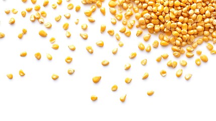 ears of wheat on a white background, top view, copy space