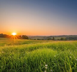 summer sunset on green meadow and sunbeams through grass in the evening. Scenery landscape of bright sunrays over green field. Summer nature. 8