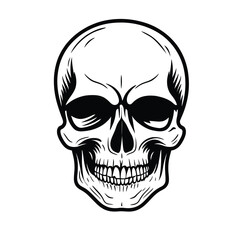  Black and white vector image of a human skull