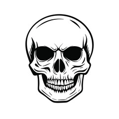  Black and white vector image of a human skull