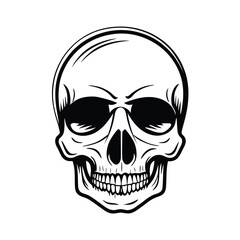  Black and white vector image of a human skull