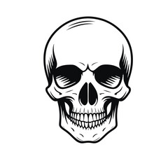  Black and white vector image of a human skull