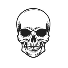  Black and white vector image of a human skull