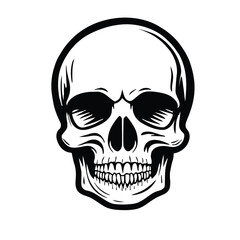  Black and white vector image of a human skull