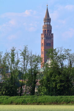 torrazzo e robinie