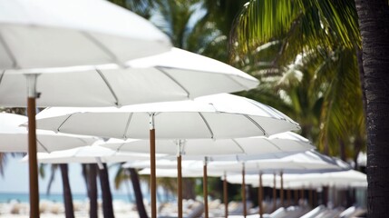 White beach umbrellas lined up on a tropical beach.