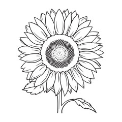 A black and white sunflower vector line art coloring page for kids with leaves