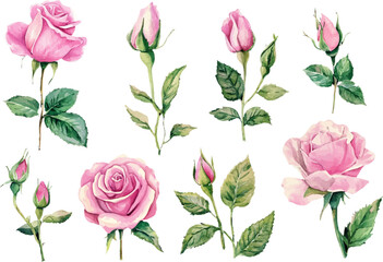 seamless pattern with pink roses