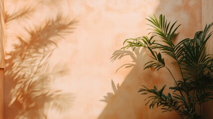Palm Shadow And Plant Against A Peach Wall