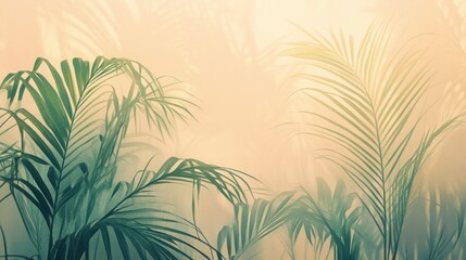 Palm Leaf Shadows on Coral Background