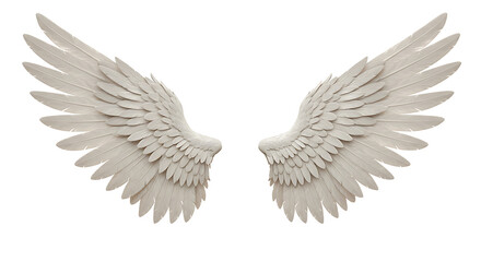 Fototapeta premium white angel wing isolated for design. cutout Transparent PNG background