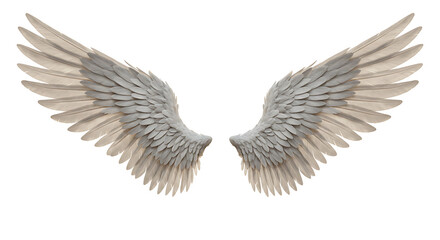 Fototapeta premium white angel wing isolated for design. cutout Transparent PNG background