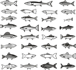 Simple black and white illustration of a fish with clear outlines and details.