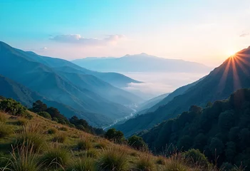 Ingelijste posters Ziekenhuis soothing nature images as backgrounds to evoke feelings of grounding and connection to self.  © nguyen