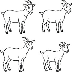 Bundle goat line art and illustrator