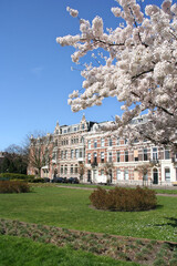 Spring in The Hague