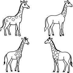 Giraff bundle line art and illustrator eps