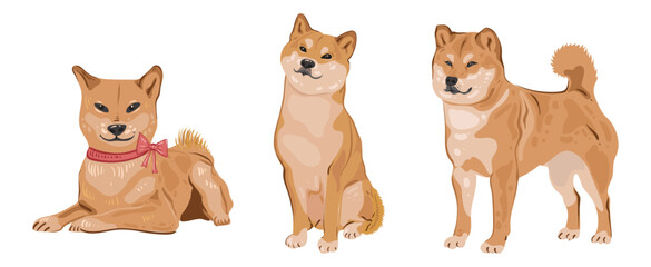 Fototapeta premium A set Shiba Inu dogs sits and stands. Red Japanese dog with a smile. Vector isolated image in a flat style for card or gift. Domestic animal. Detailed flat vector icon.