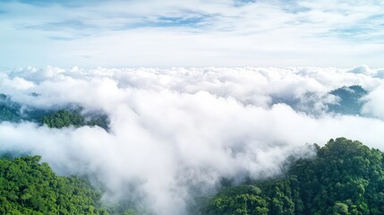 Obraz premium Aerial view of lush green mountains shrouded in white clouds under a bright blue sky.