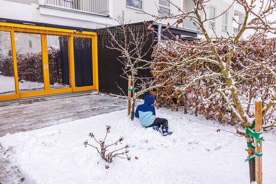 Child in winter outfit sitting on snow-covered ground garden near leafless apples trees by modern villa with panoramic reflective windows. Sweden.