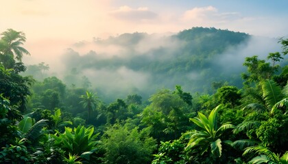 Obraz premium Lush Tropical Forest with Misty Morning Fog