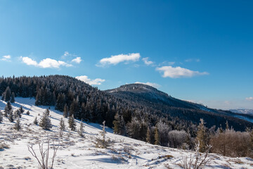 Winter wonderland scene in snow-covered forest in Zawoja, Zywiec Beskids, Poland. Scenic view of snow capped hills and mountains seen from mount Polica. Solitude and tranquility in snowy wilderness