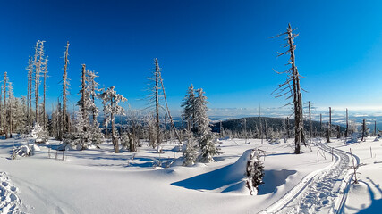 Winter wonderland scene in snow-covered forest destroyed by windbreak in Zawoja, Zywiec Beskids,...