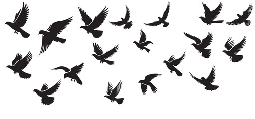 Flying birds silhouettes on white background, illustration, Vector