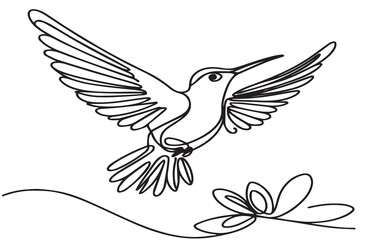 Hummingbird bird, black line drawing, one line outline on white background vector illustration