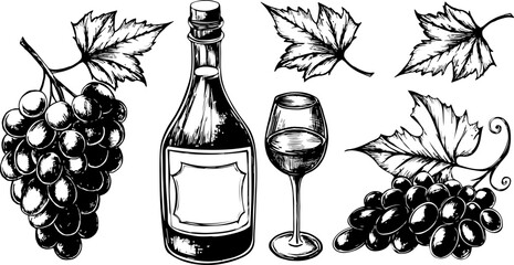 bottles of wine and grapes. vintage drawing in sketch style. black and white illustration.Bottle of wine, glass and grapes in doodle style