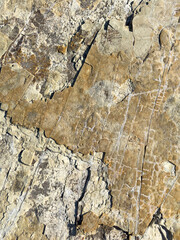 Abstract brown stone pattern background