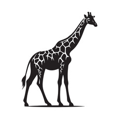 Obraz premium Elegant giraffe silhouette for innovative artistic projects - Giraffe black vector 