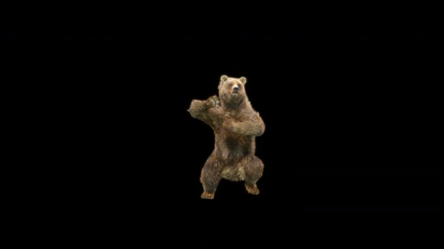 Bear Dancing 3d rendering animal realistic, Animation 3D, Included in the end of the clip with Luma matte.
