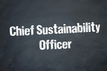 Obraz premium Chief Sustainability Officer 