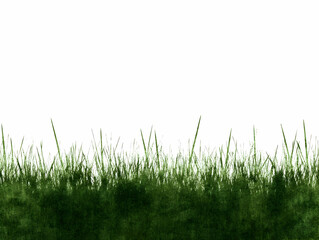 Fototapeta premium Green Grass Illustration Background