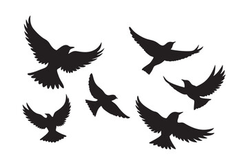 flying-birds-vector-on-white-background.