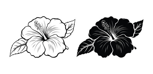 Set of Hibiscus flower. flower icon, silhouette, outline, vector, illustration isolated on a white background © motiur vector artist