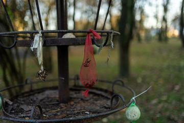 Naklejka premium Eco-Friendly Bird Feeder for Nature Lovers