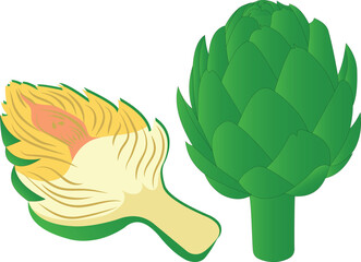 Best fresh artichoke isolated on white background, fresh and natural vegetable isolated, vector illustration for vegetable, eps10.
