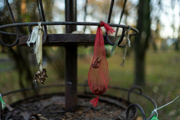 Eco-Friendly Bird Feeder for Nature Lovers