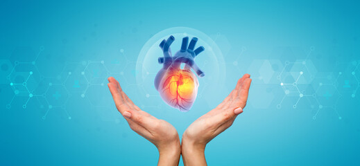 Two hands are cupped gently around a 3D model of a human heart, visualized as translucent blue with highlighted areas of orange/red to indicate flow or activity. The heart is suspended within a transp