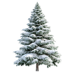 Fototapeta premium A snow-covered evergreen tree, perfect for winter decorations or holiday settings.