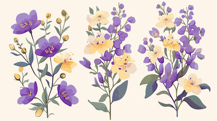 Vibrant Tutsan Flowers on White Background - Botanical Floral Buds