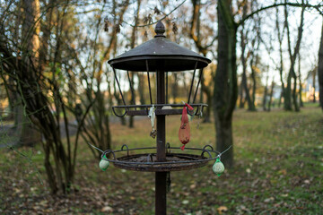Eco-Friendly Bird Feeder for Nature Lovers
