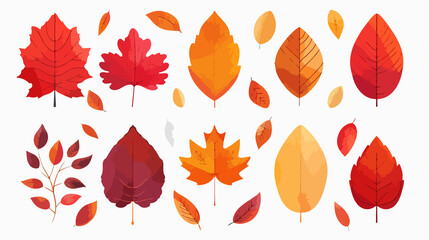 Obraz premium Vibrant Red and Orange Autumn Leaves on White Background
