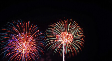 Fototapeta premium fireworks in the sky